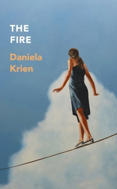 Daniela Krien - Fire, E-bok