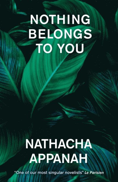 Nathacha Appanah - Nothing Belongs to You, E-bok