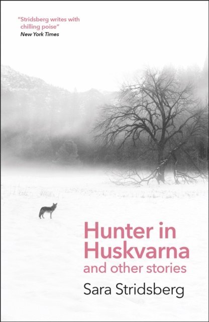 Sara Stridsberg - Hunter in Huskvarna, E-bok