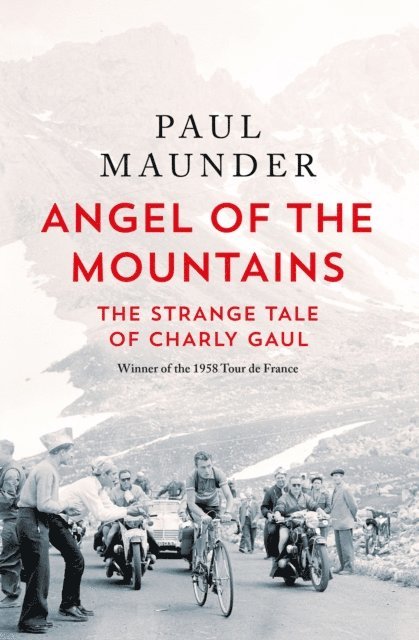 Paul Maunder - Angel of the Mountains, E-bok