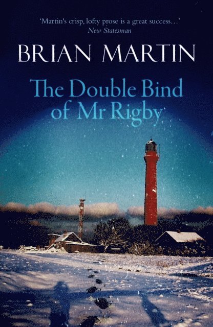 Brian Martin - Double Bind of Mr Rigby, E-bok
