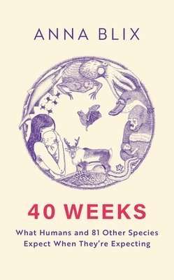 Anna Blix - 40 Weeks, Inbunden