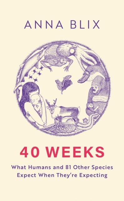 Anna Blix - 40 Weeks, E-bok