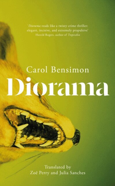 Carol Bensimon - Diorama, E-bok