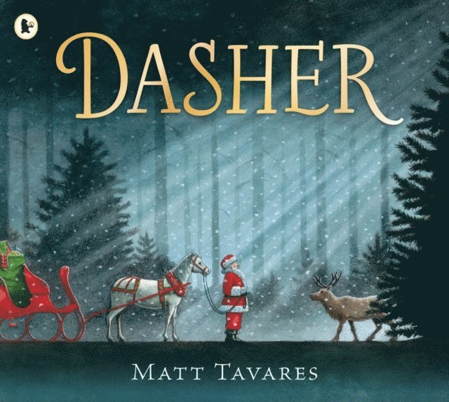 Matt Tavares - Dasher, E-bok