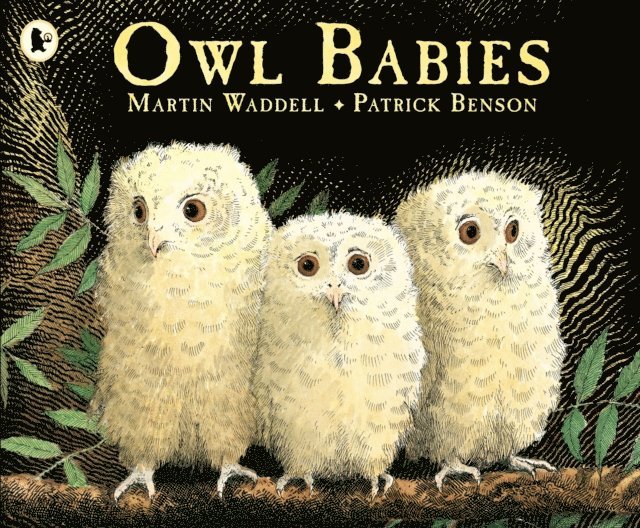 Martin Waddell - Owl Babies, E-bok