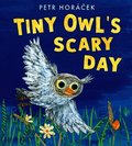 Tiny Owl's Scary Day