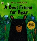 Best Friend for Bear
