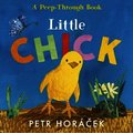 Little Chick