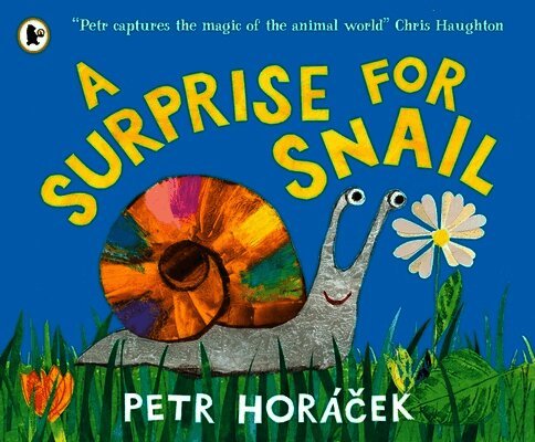 Petr Horácek - Surprise for Snail, Häftad