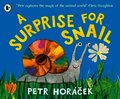 Surprise for Snail