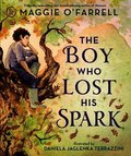 Boy Who Lost His Spark