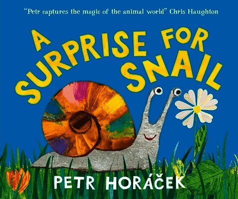 Petr Horácek - Surprise for Snail, Inbunden