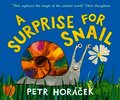 Surprise for Snail