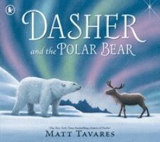 Matt Tavares - Dasher and the Polar Bear, Häftad