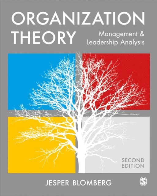 Jesper Blomberg - Organization Theory, E-bok