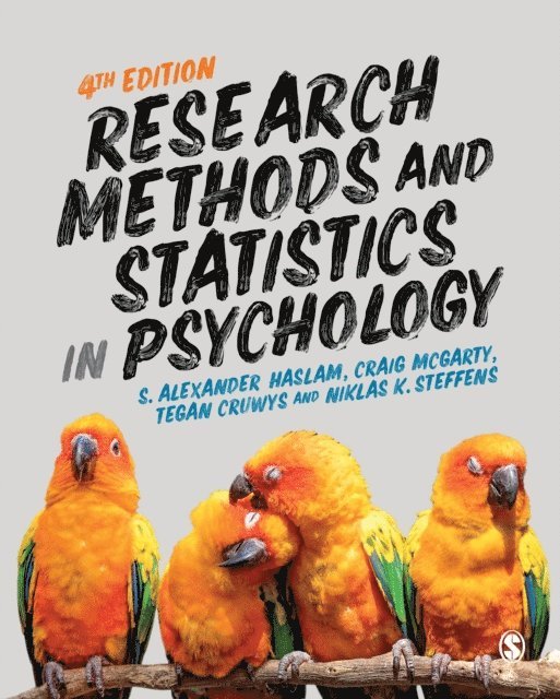 Niklas K. Steffens, Tegan Cruwys, Craig McGarty, S Alexander Haslam - Research Methods and Statistics in Psychology, E-bok