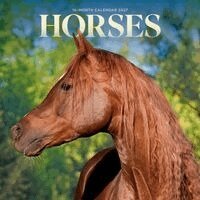 Horses 2027 Mini Wall Calendar, Övrigt