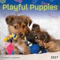 Playful Puppies 2027 Mini Wall Calendar, Övrigt