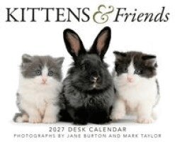 Kittens & Friends 2027 Boxed Calendar, Övrigt
