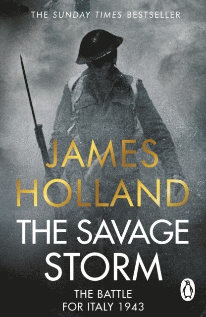 James Holland - Savage Storm, E-bok