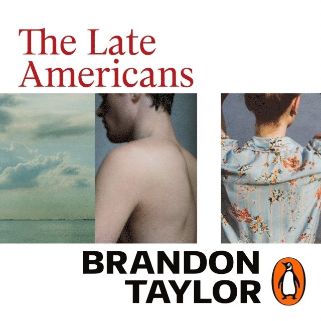 Brandon Taylor - Late Americans, Ljudbok