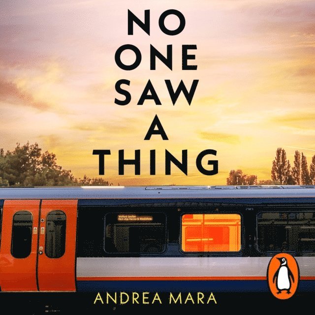 Andrea Mara - No One Saw a Thing, Ljudbok