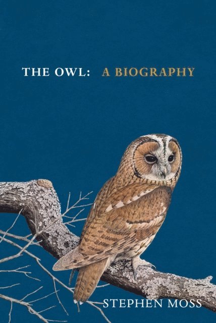 Stephen Moss - Owl, E-bok