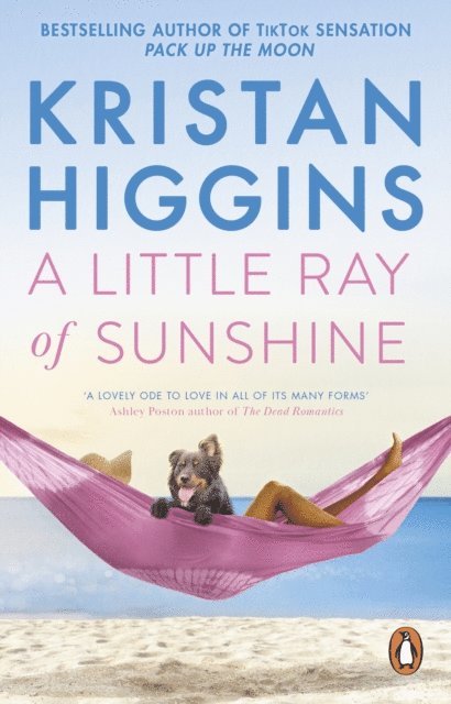 Kristan Higgins - Little Ray of Sunshine, E-bok