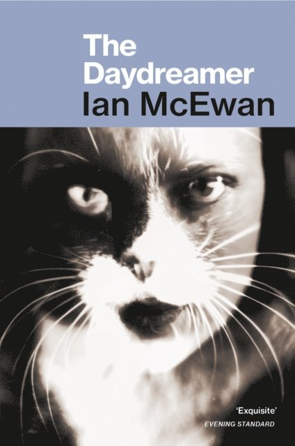 Ian McEwan - Daydreamer, E-bok