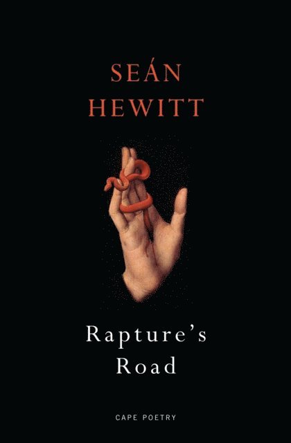 Seán Hewitt - Rapture's Road, E-bok