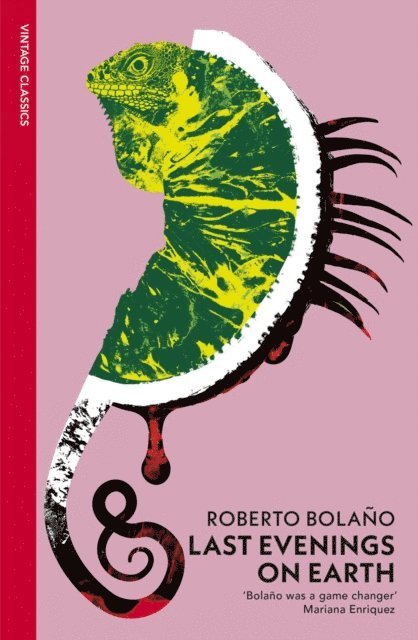 Roberto Bolaño - Last Evenings On Earth, E-bok