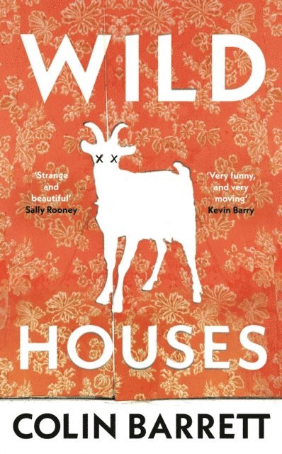 Colin Barrett - Wild Houses, E-bok