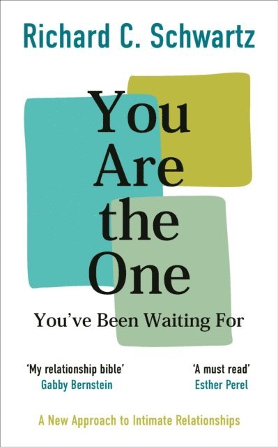 Richard Schwartz - You Are the One You’ve Been Waiting For, E-bok