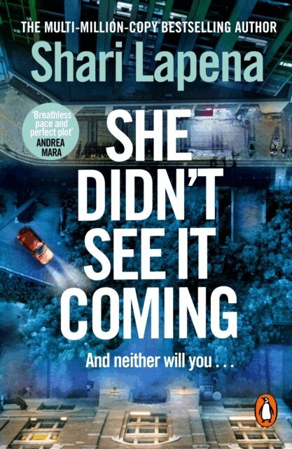 Shari Lapena - She Didn't See It Coming, E-bok