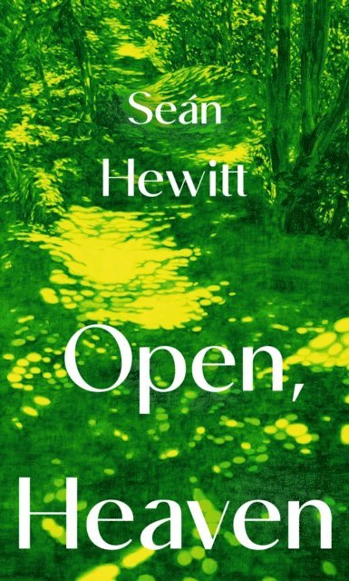 Seán Hewitt - Open, Heaven, E-bok