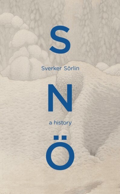 Sverker Sörlin - Sno, E-bok