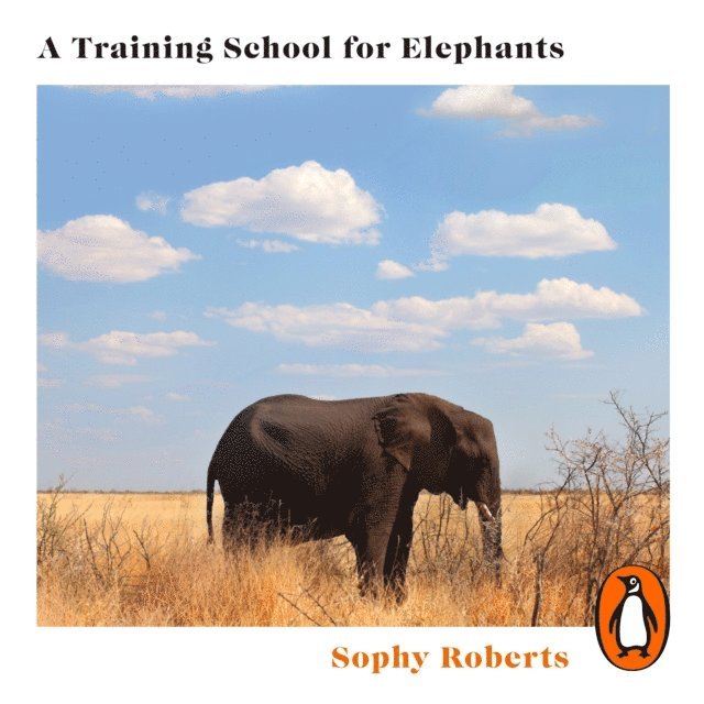 Sophy Roberts - Training School for Elephants, Ljudbok