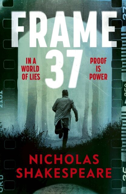 Nicholas Shakespeare - Frame 37, E-bok