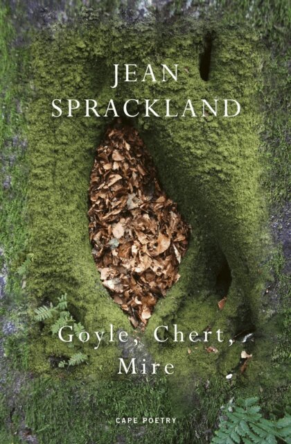 Jean Sprackland - Goyle, Chert, Mire, E-bok