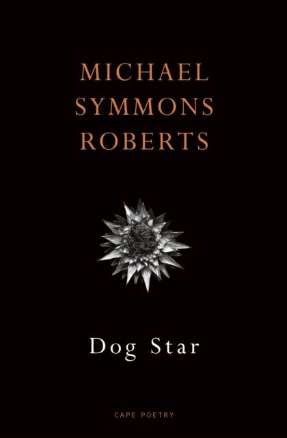 Michael Symmons Roberts - Dog Star, E-bok