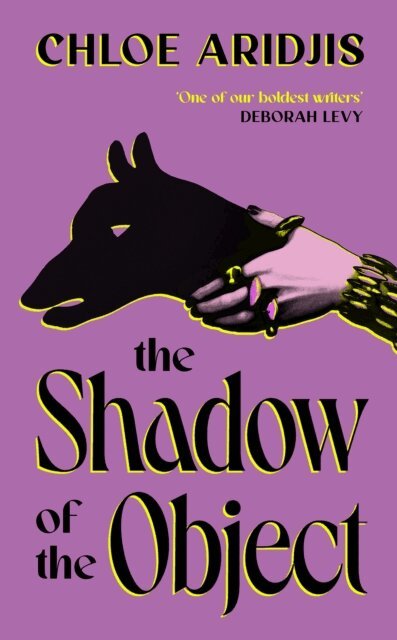 Chloe Aridjis - Shadow of the Object, E-bok