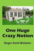 One Huge Crazy Notion: A romantic ghost and reincarnation novel