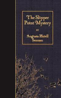 The Slipper Point Mystery