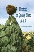 Montcuq en Quercy Blanc N&B