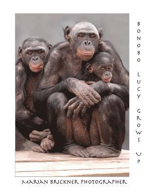 Marian Brickner - Bonobo Lucy Grows Up, Häftad. Tillgänglighet: Lägg i varukorg