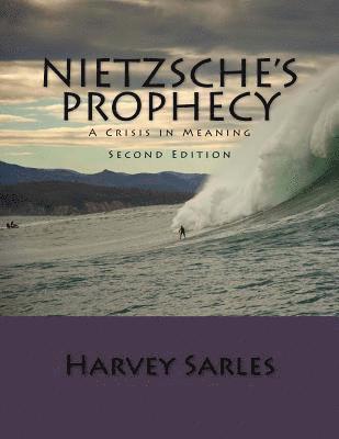 Harvey Sarles - Nietzsche's Prophecy: A Crisis in Meaning, Häftad. Tillgänglighet: Lägg i varukorg