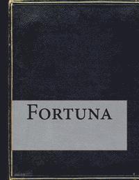 Enrique Perez Escrich - Fortuna, Häftad. Tillgänglighet: Lägg i varukorg