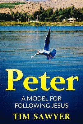 Tim Sawyer - Peter, Häftad. Tillgänglighet: Lägg i varukorg