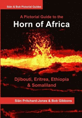 Bob Gibbons, Sian Pritchard-Jones - Horn of Africa, Häftad. Tillgänglighet: Lägg i varukorg
